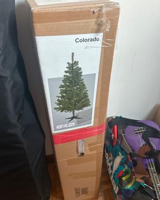 Albero di natale