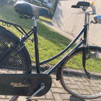 Bicicletta Wilier Triestina Donna