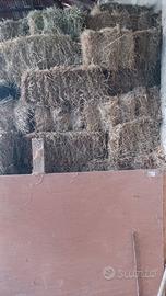 Fieno primo e secondo taglio