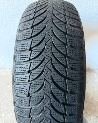 Gomme invernali NEXEN WINGUARD SNOW G - 185/65 R15