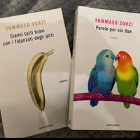 I romanzi di Tommaso Zorzi