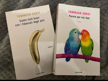 I romanzi di Tommaso Zorzi