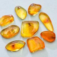 Ambra baltica levigata con inclusioni XV lotto