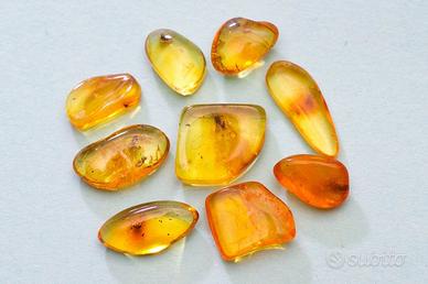 Ambra baltica levigata con inclusioni XV lotto