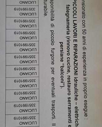 pensionato per arrotondare