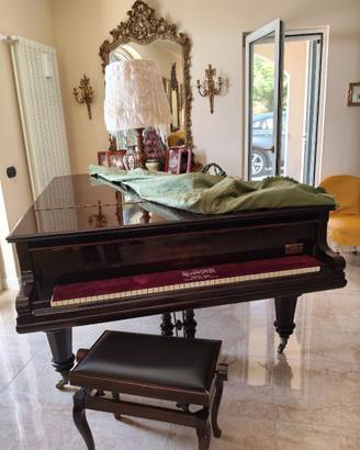 Pianoforte a coda