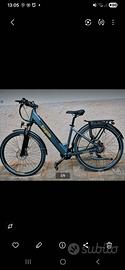 bici elettrica 