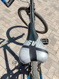 MTB 24