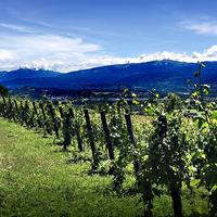 Terreno Edificabile - Lavis