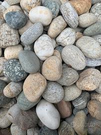 Ciottoli/ sassi di fiume
