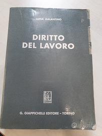 Manuale Diritto del lavoro