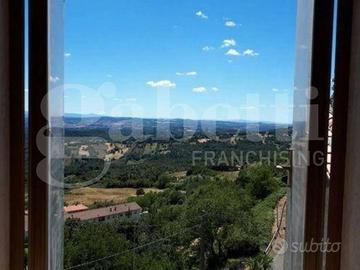 Terratetto Castell'Azzara [Cod. rif 3229684VRG]