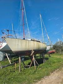 barca a vela 7 mt 