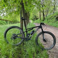 Specialized  Epic Expert