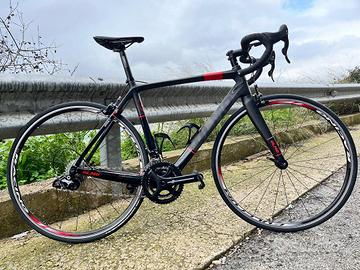 Bdc Olmo in carbonio