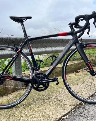 Bdc Olmo in carbonio