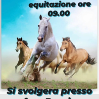 Cavalli e attrezzature