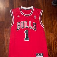 Canotta Chicago Bulls