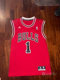 Canotta Chicago Bulls
