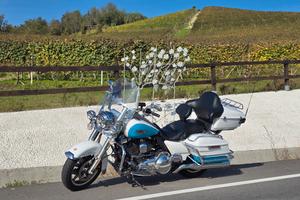 Harley Davidson Road King 103 standard 