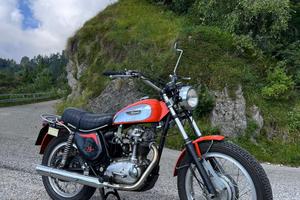 Ducati scrambler 350