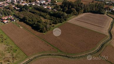 TER. AGRICOLO A NOALE