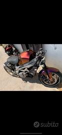 Suzuki 1000
