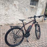 mountain bike elettrica 