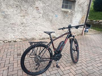 mountain bike elettrica 