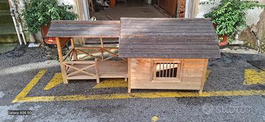 cuccia per cani usata.