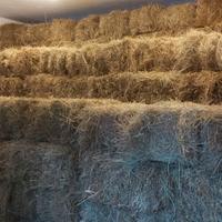 Balle di fieno di montagna 2025