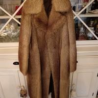 Pelliccia di castoro spitz