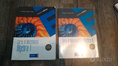CORSO DI MATEMATICA ALGEBRA. LAMBERTI MEREU Vol. 1