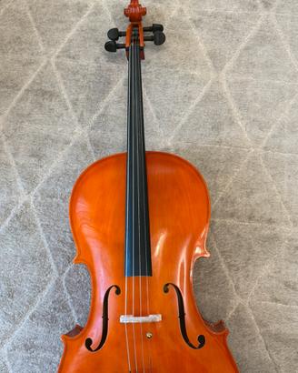 Violoncello Domus Rialto  4/4