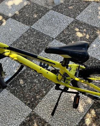 Bicicletta  Mountain Bike per ragazzo CARNIELLI 24
