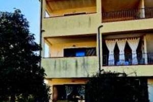 RGE 151/2023 Trib Tempio Pausania