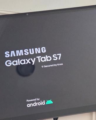 Samsung Galaxy Tab S7 Wi-Fi 128GB + accessori