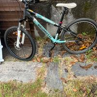 Bicicletta Bianchi Brumotti