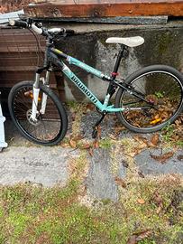 Bicicletta Bianchi Brumotti