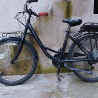 bicicletta elettrica 