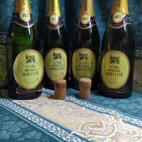 bottiglie vuote spumante Berlucchi Cuvee Imperiale