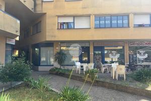 ATTIVITÀ A COLLI AL METAURO