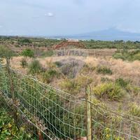 Terreno Edificabile - Augusta