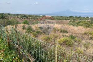 Terreno Edificabile - Augusta