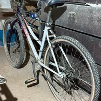 Atala mod. Flayer