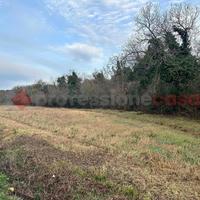 Terreno Agricolo Collesalvetti [Rif. 420/BVCG]