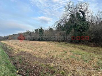 Terreno Agricolo Collesalvetti [Rif. 420/BVCG]