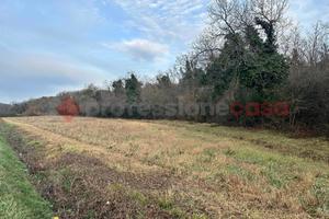 Terreno Agricolo Collesalvetti [Rif. 420/BVCG]