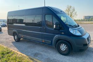 Ducato van cambio automatico