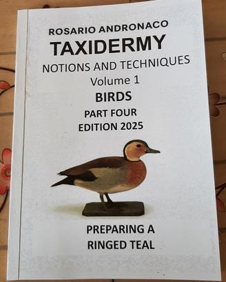 Libro in Inglese Ringed teal Taxidermy